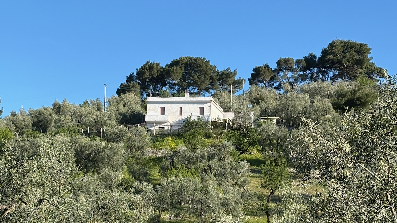 Het pand en de boomgaard in Vieste, tussen de olijfbomen
