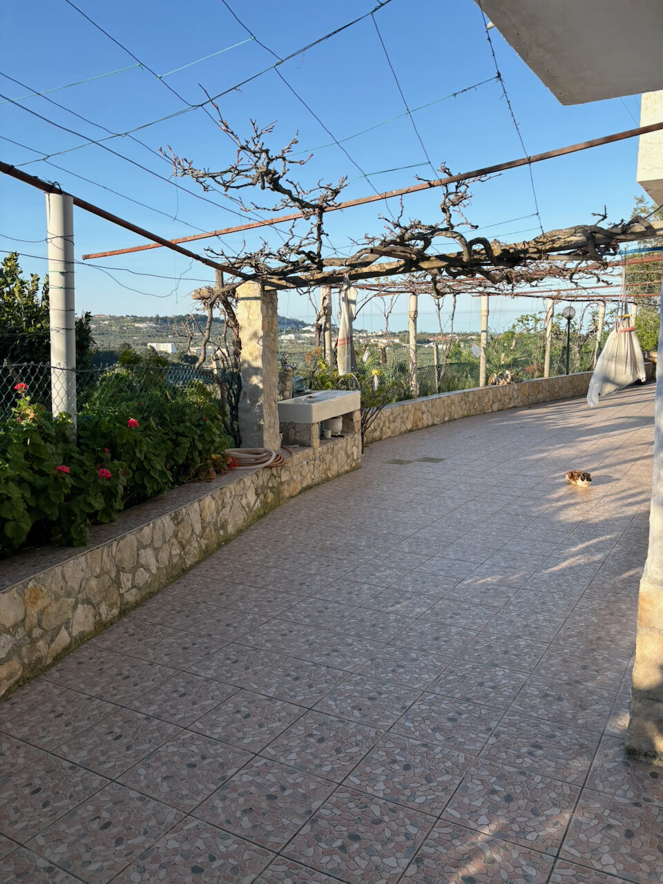 Het terras bij de B&B