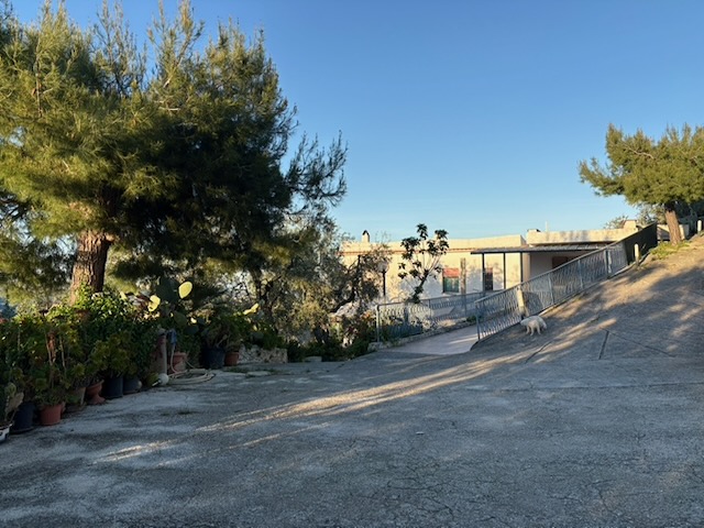 Het pand naast onze olijfboomgaard in Vieste, waar de B&B komt